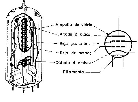 tetrodo de tres patillas