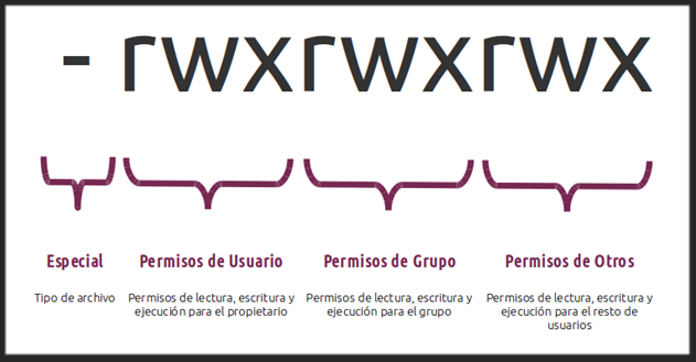 Especificación de los permisos