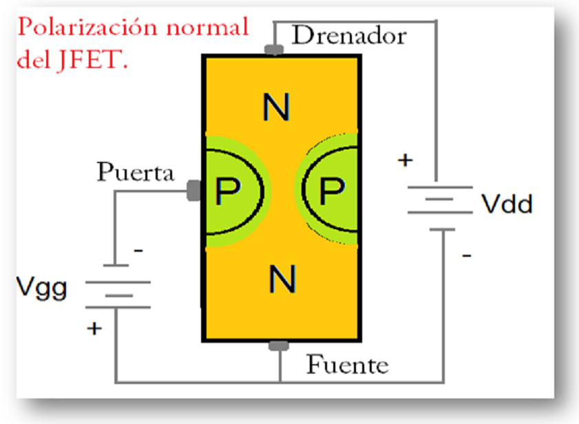 Estructura interna de un JFET