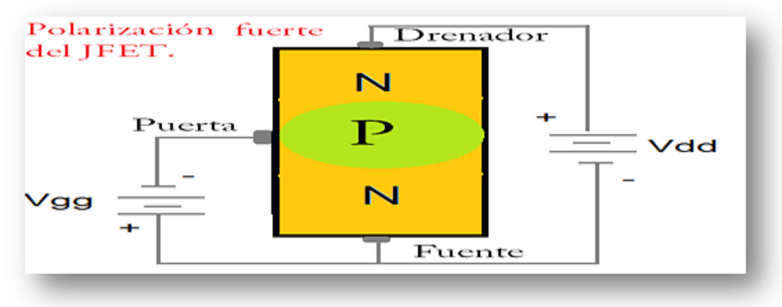 Polarización del JFET cierra o abre el canal de comunicación
