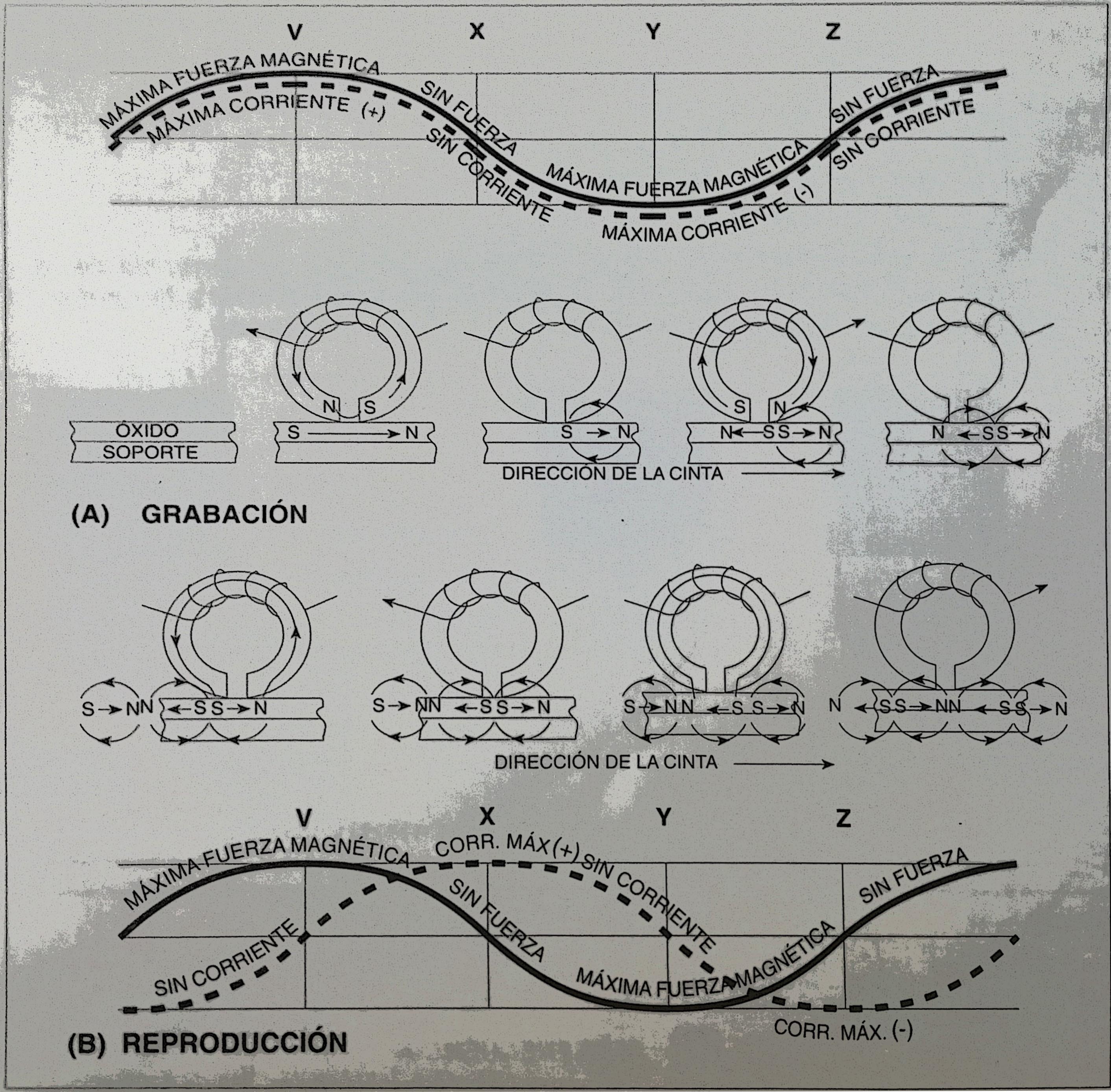 Proceso detallado de la grabación y la reproducción magnética