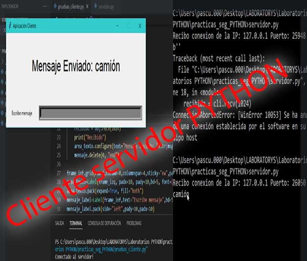 Aplicación cliente-servidor en python