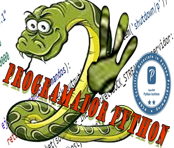 Curso completo de PCAP