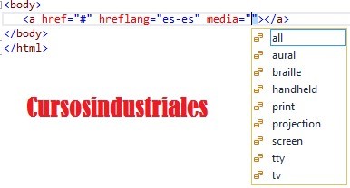 Permite establecer el tipo multimedia