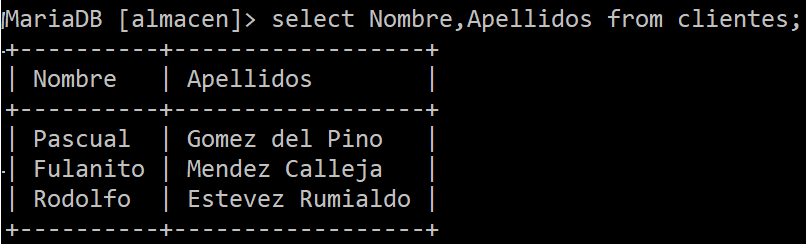 consulta personalizada de los registros de la tabla Clientes