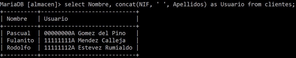 consulta personalizada de los registros de la tabla Clientes añadiendo un concat()