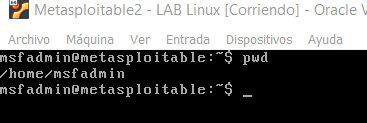 Raíz de la Metasploitable2.