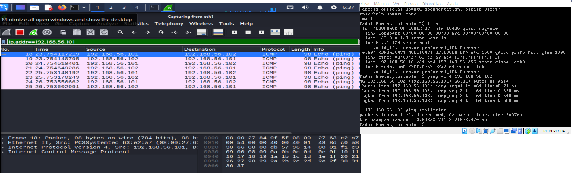 Hacemos ping desde Metasploitable2 a Kali Linux y wireshack resgistra la actividad