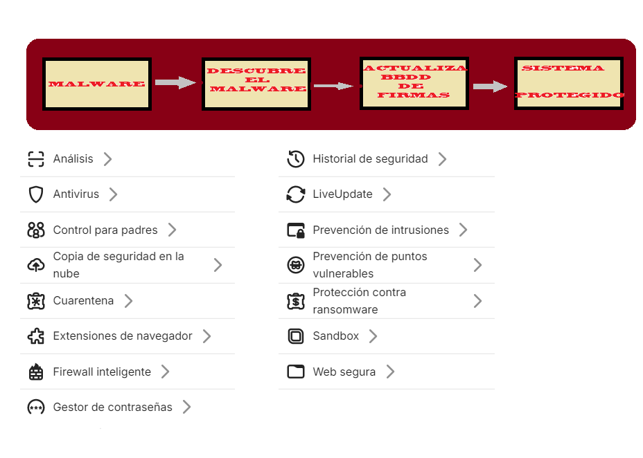 Estructura de funcionamiento de firmas
